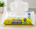 75% Alcohol Disinfecting Wipes – 50 Count
